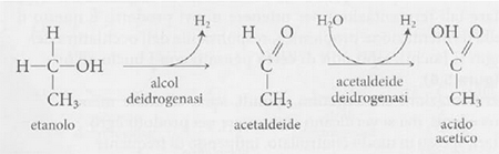 Acetaldeide in So2