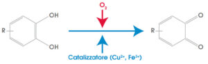 Catalizzatore Cu2